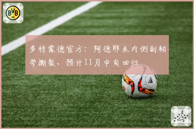多特蒙德官方：阿德耶米内侧副韧带撕裂，预计11月中旬回归