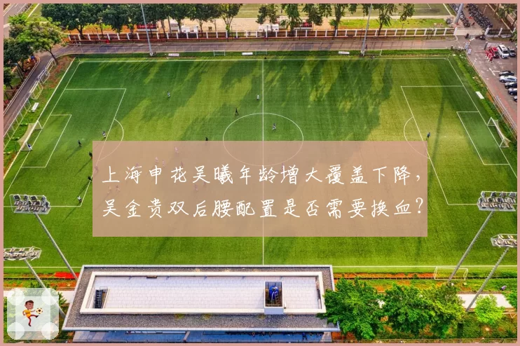 上海申花吴曦年龄增大覆盖下降，吴金贵双后腰配置是否需要换血？