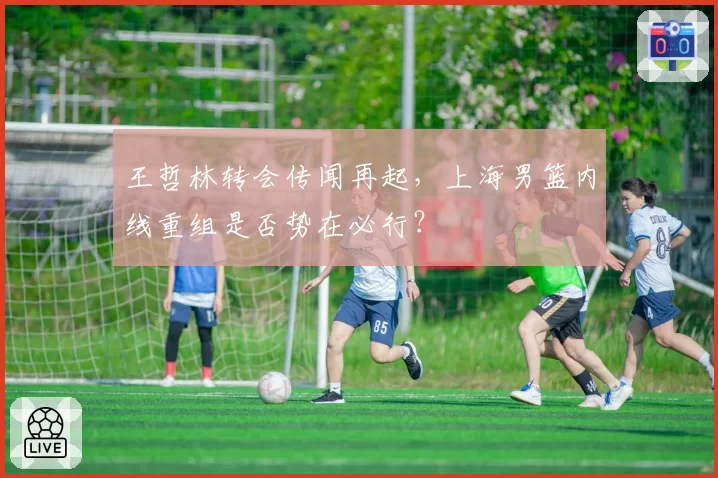 王哲林转会传闻再起，上海男篮内线重组是否势在必行？