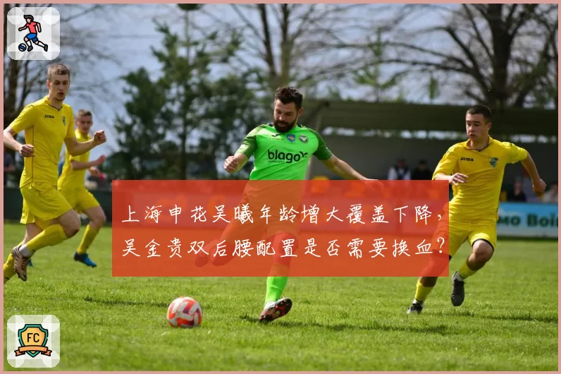 上海申花吴曦年龄增大覆盖下降，吴金贵双后腰配置是否需要换血？