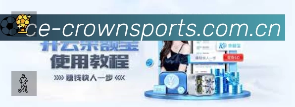 安全使用与支持流程